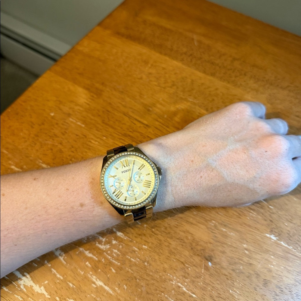 Fossil Tortoise Watch
